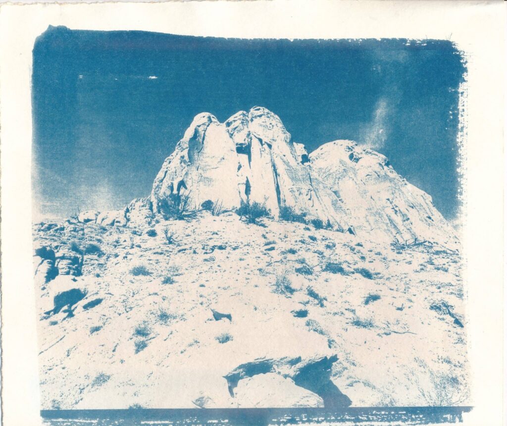 Cyanotype print by Hope Vigil-Shuck