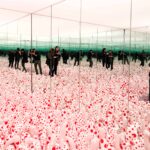 Infinity Mirrors, light with red polka dots