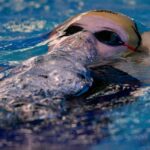 Athlete swimming backstroke