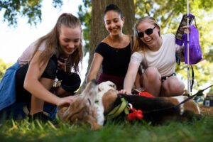 Students pet a dog