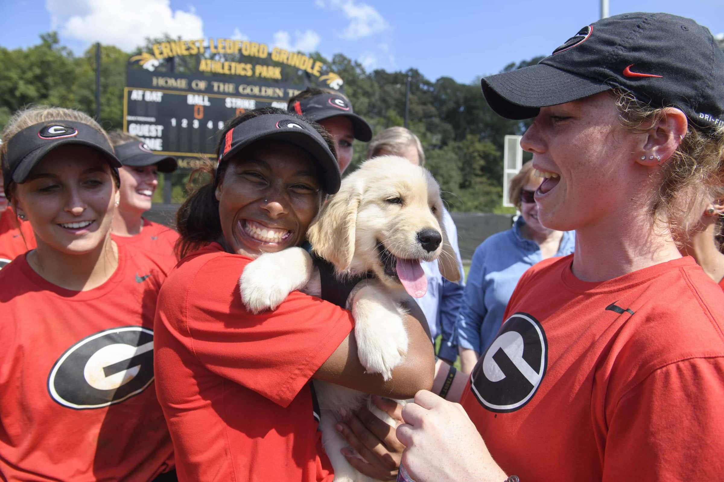 Members of the Georgia softball team meet Max, Doug and Kay Ivester's 10 week old golden retriever puppy, between games of a doubleheader with Brenau at Pacolet Milliken Field at the Ernest Ledford Grindle Athletics Park. (AJ Reynolds/Brenau University)