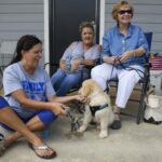 Women playing with a puppy