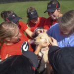 Members of the Georgia softball team meet Max, Doug and Kay Ivester's 10 week old golden retriever puppy, between games of a doubleheader with Brenau at Pacolet Milliken Field at the Ernest Ledford Grindle Athletics Park. (AJ Reynolds/Brenau University)