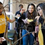 student point to butterflies on tree