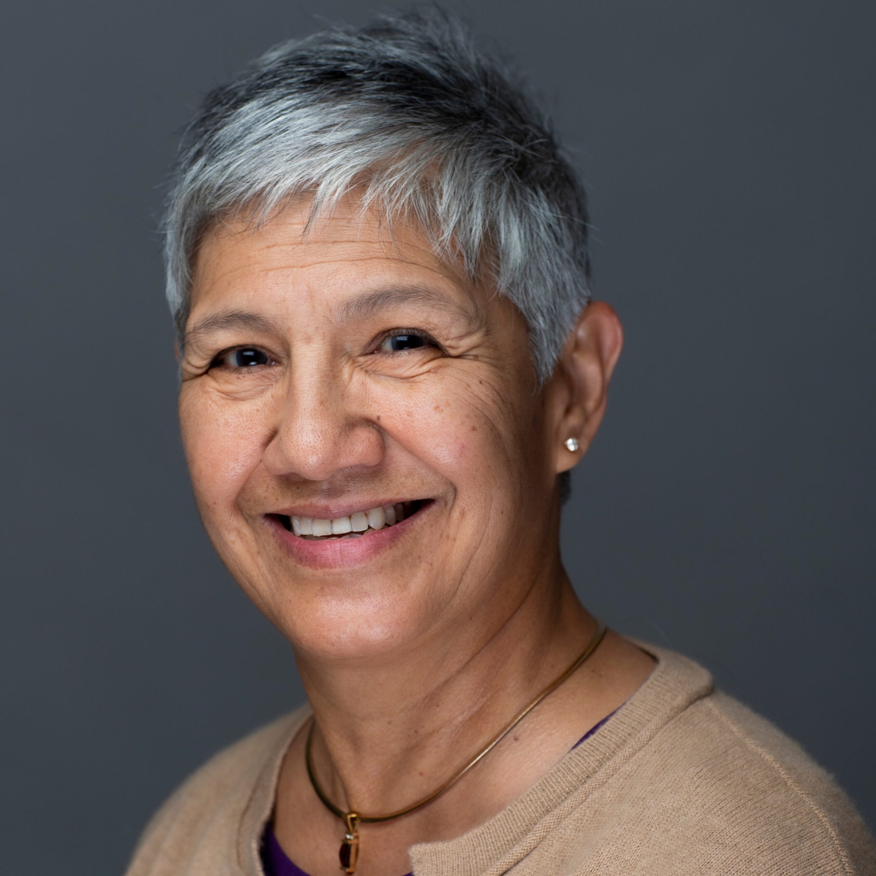 M. Irma Alvarado, OT/L, Ph.D., FAOTA Brenau University