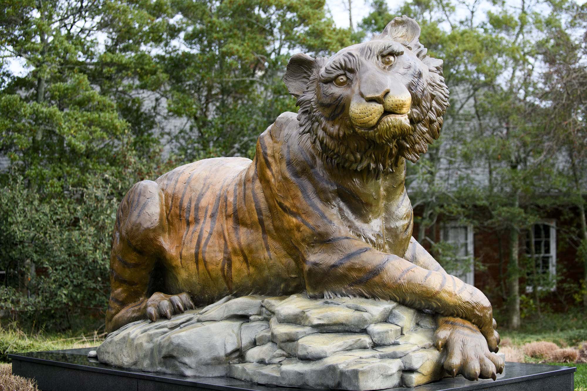 Lucile, the bronze golden tiger statue