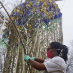 Jordan smith works on the peacock.