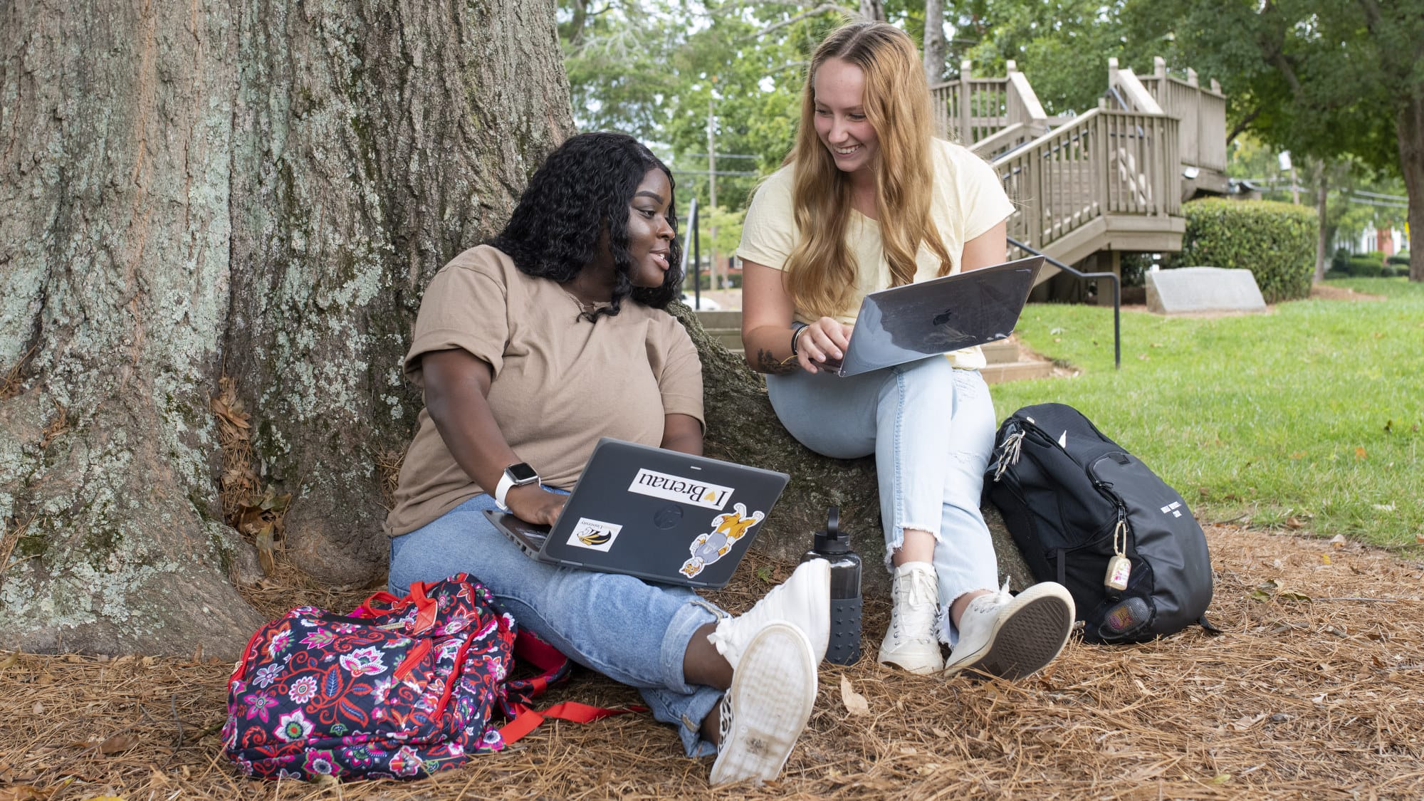 Two students study together in the shade of a tree