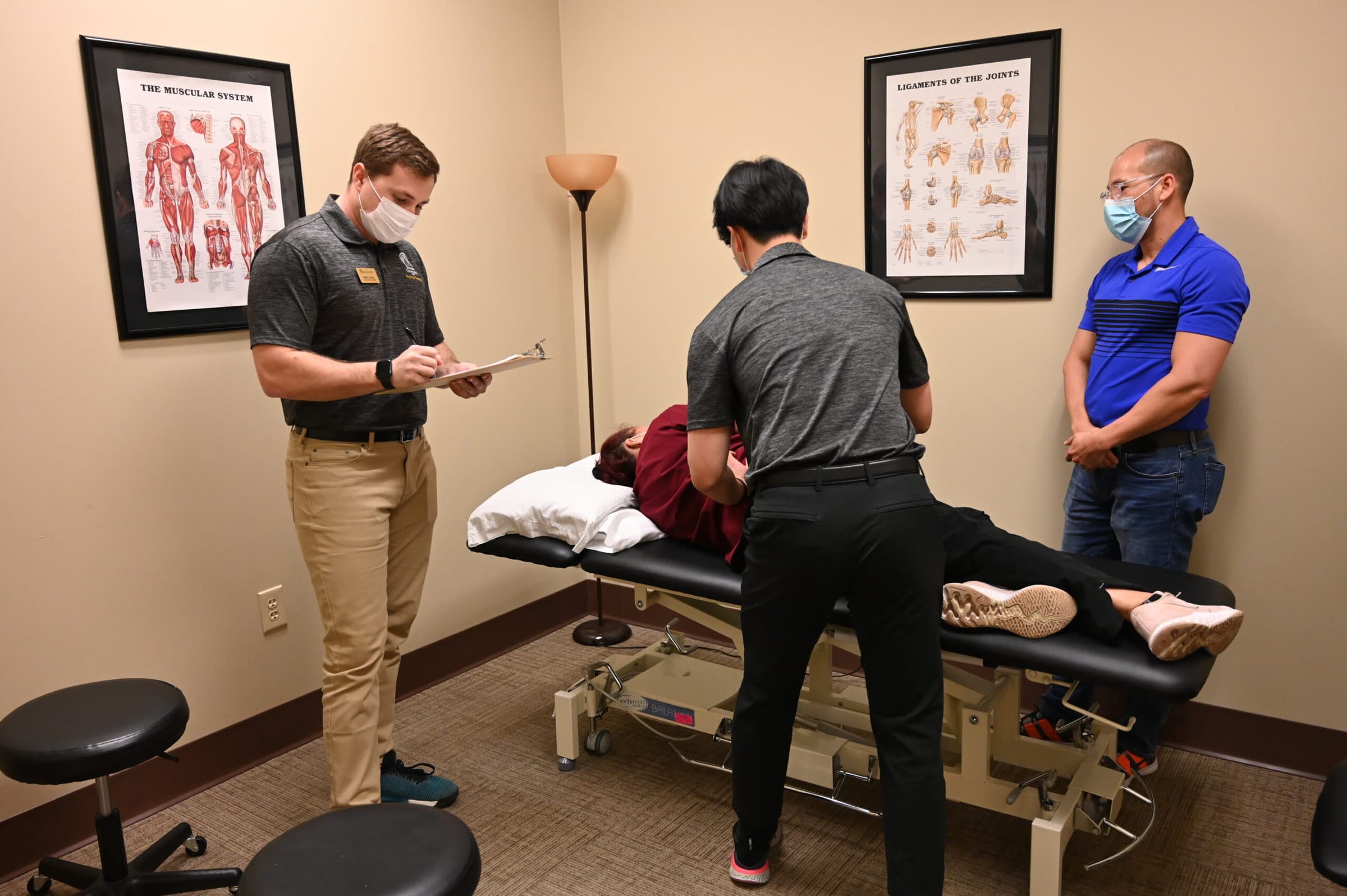 Physical Therapy in our clinic for proper posture - 8210