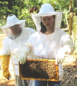 Prof. Haney instructs as Chrissy Li carries a frame of bees.