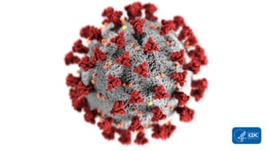 COVID-19 virus image, courtesy of CDC