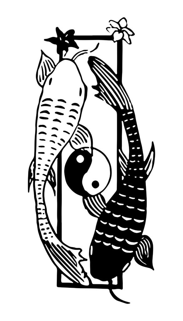 drawing of one black and one white fish on either side of a black and white yin yang symbol