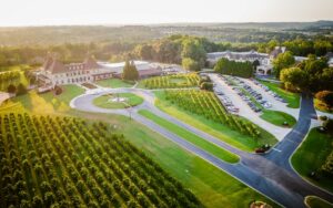 chateau elan