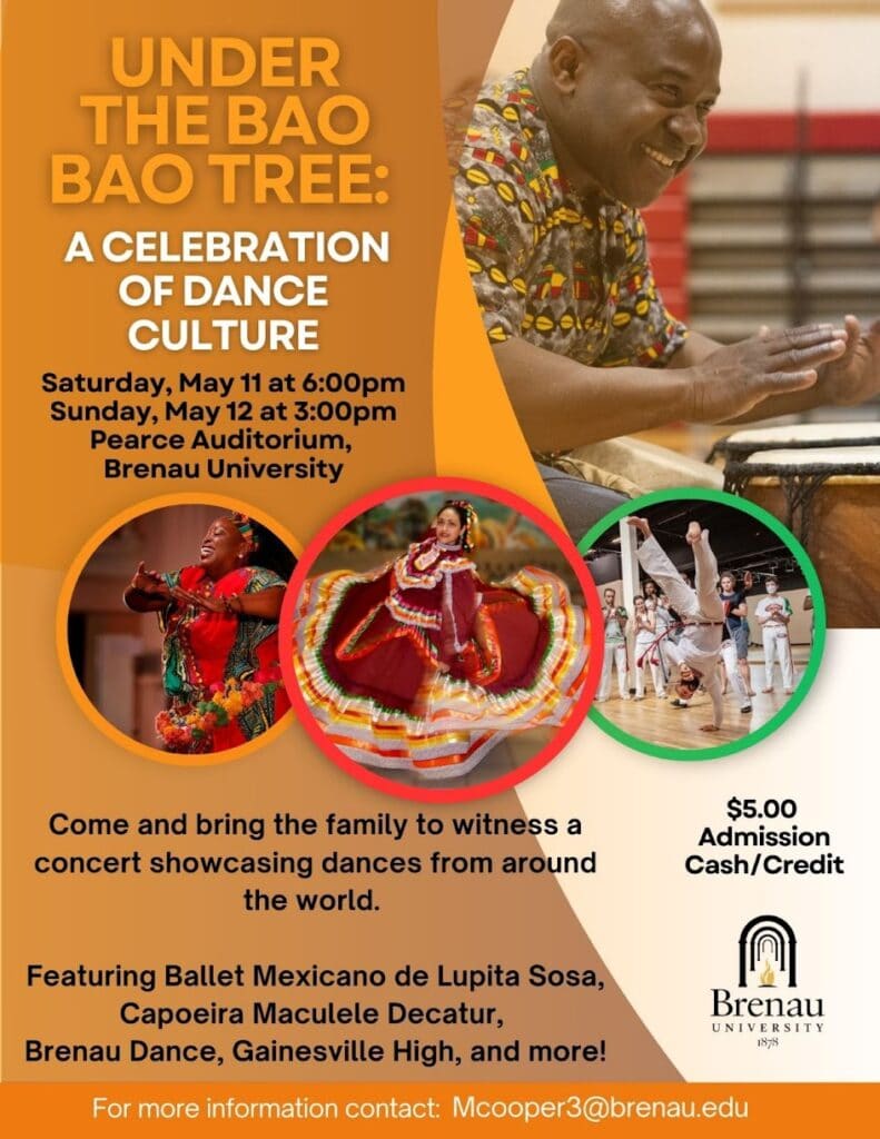 dancing under the bao bao tree flyer