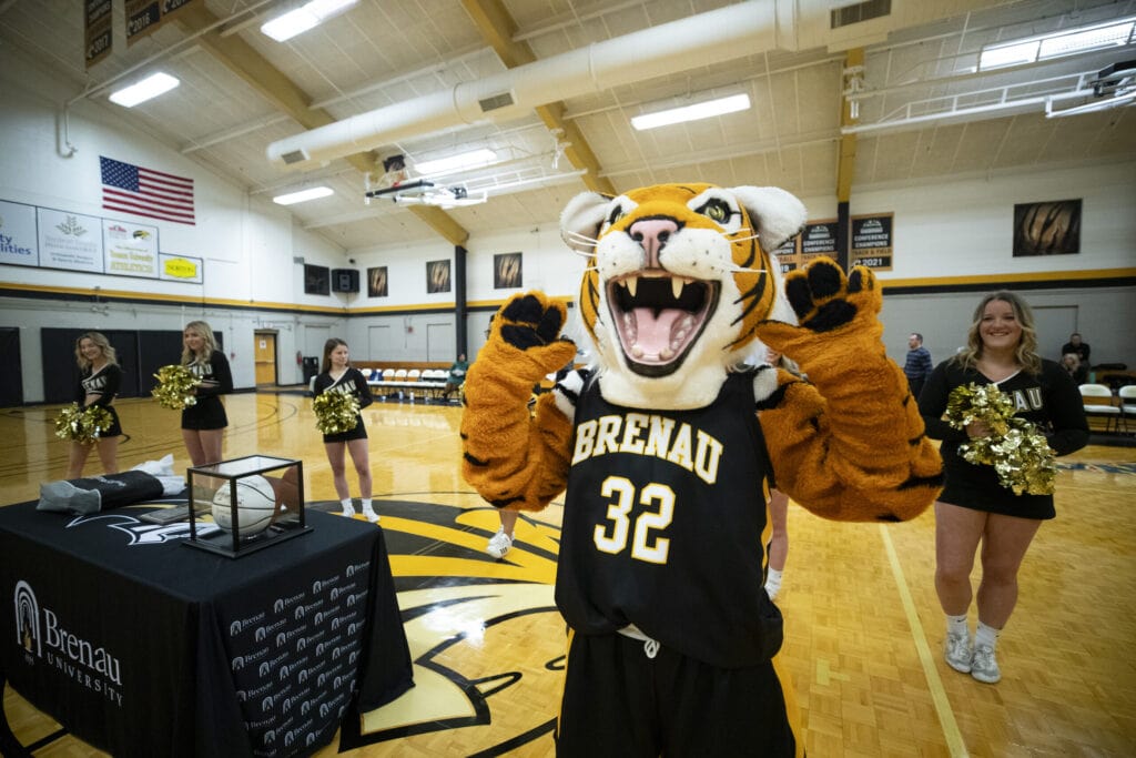 HJ, the Golden Tiger mascot