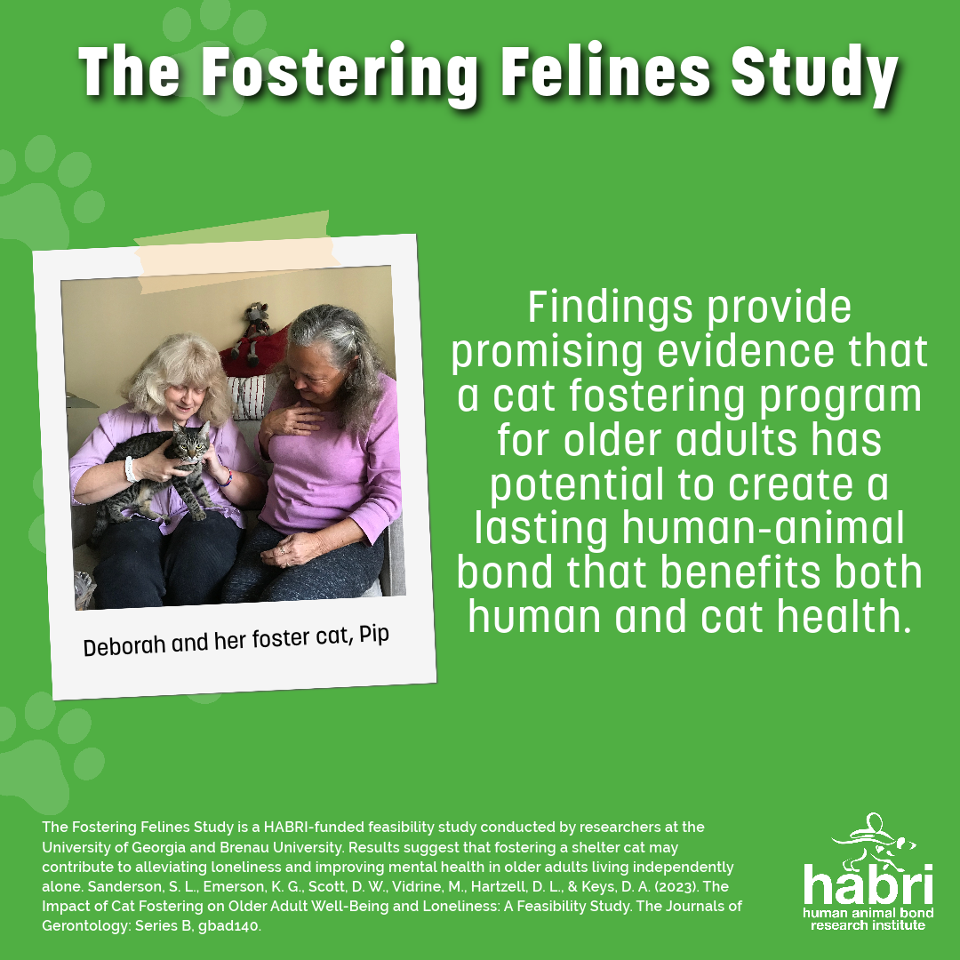 Fostering Felines graphic. The Fostering Felines Study: findings provide promising evidence that a cat fostering program for older adults has potential to create a lasting human-animal bond that benefits both human and cat health.