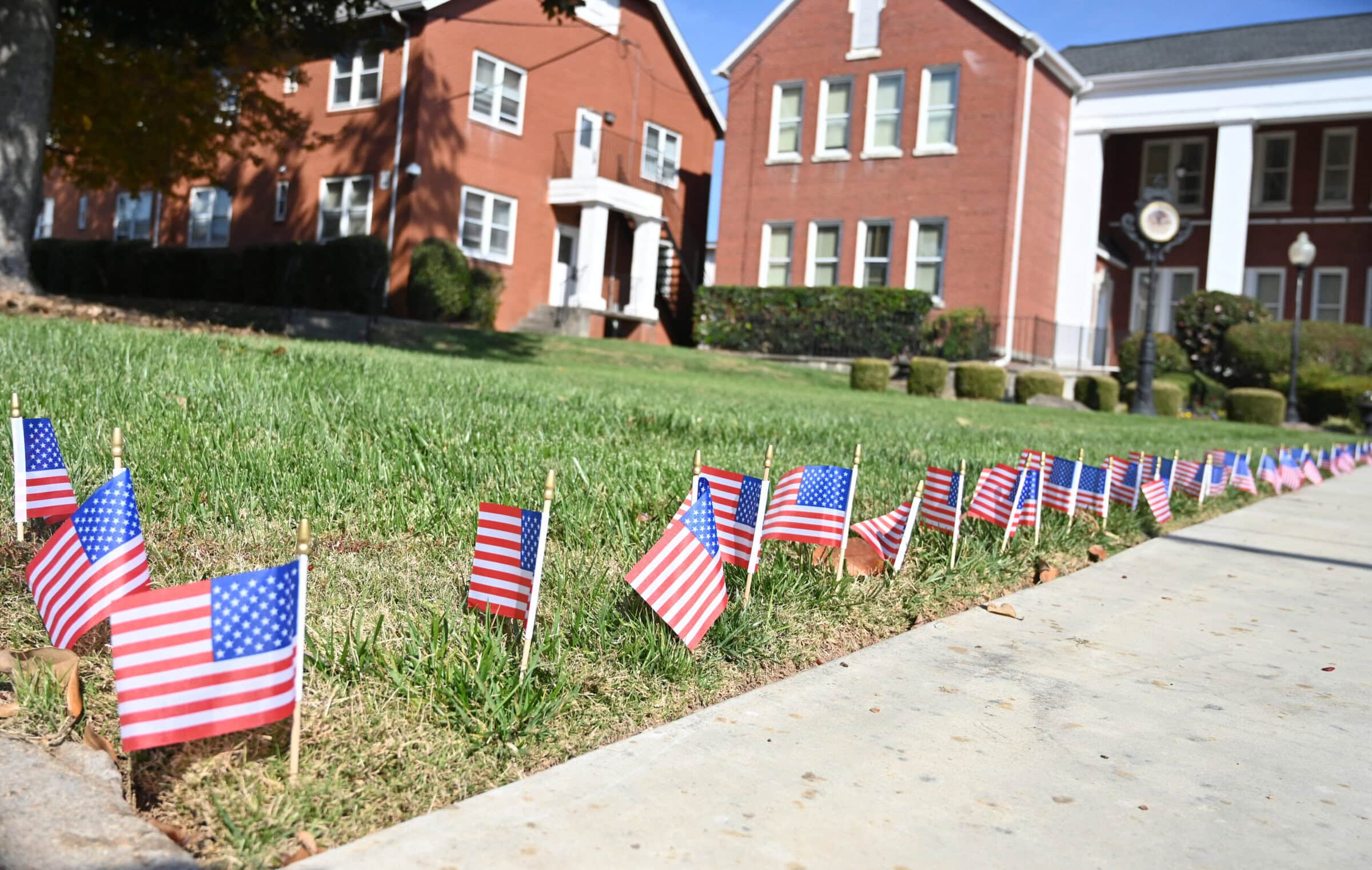 flags along walkway