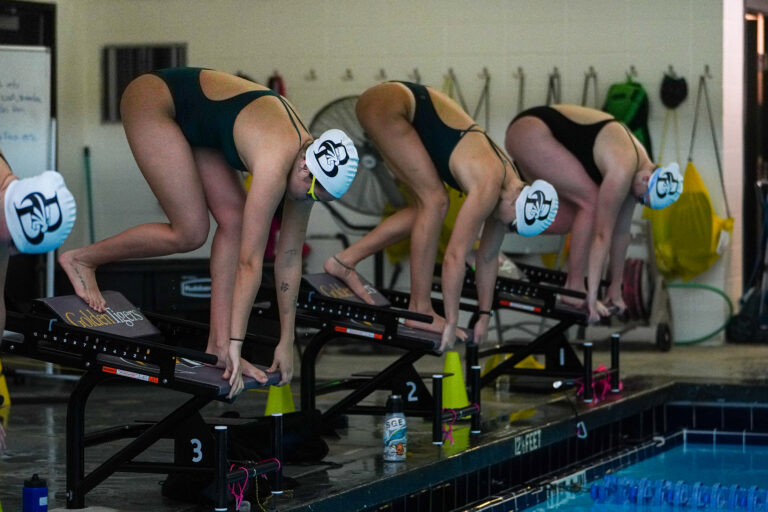 divers at the brenau pool ready to swim