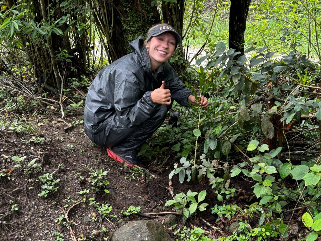 student planting tree