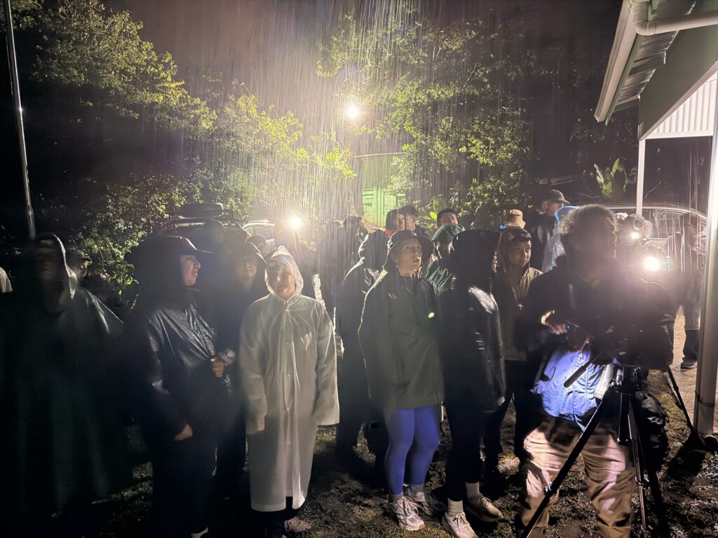 students on night walk in rain forest